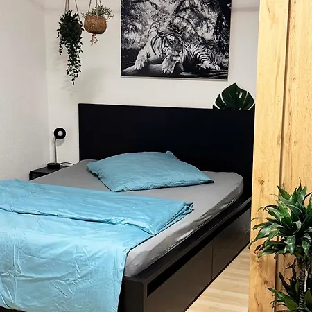 Zentrumnah Inklusive Parkplatz Jungle-Suite By Rentigo - Ruheoase Im Herzen Von Saarbruecken! Esterno foto
