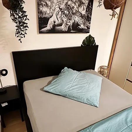 Zentrumnah Inklusive Parkplatz Jungle-Suite By Rentigo - Ruheoase Im Herzen Von Saarbruecken! Esterno foto