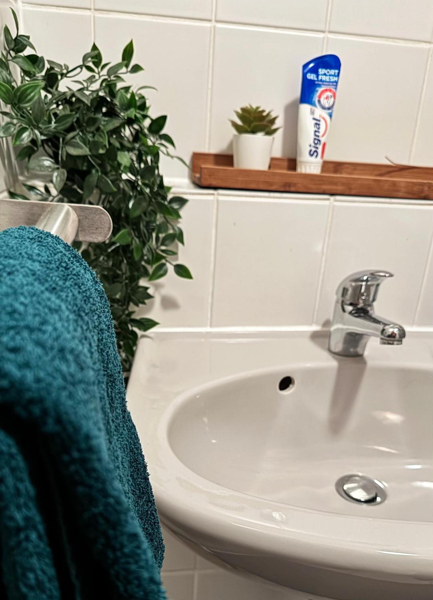 Zentrumnah Inklusive Parkplatz Jungle-suite By Rentigo - Ruheoase Im Herzen Von Saarbruecken! Apartment *