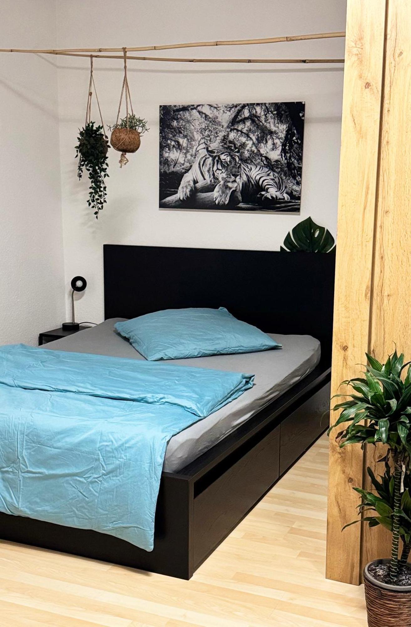 Zentrumnah Inklusive Parkplatz Jungle-suite By Rentigo - Ruheoase Im Herzen Von Saarbruecken! * Saarbrücken